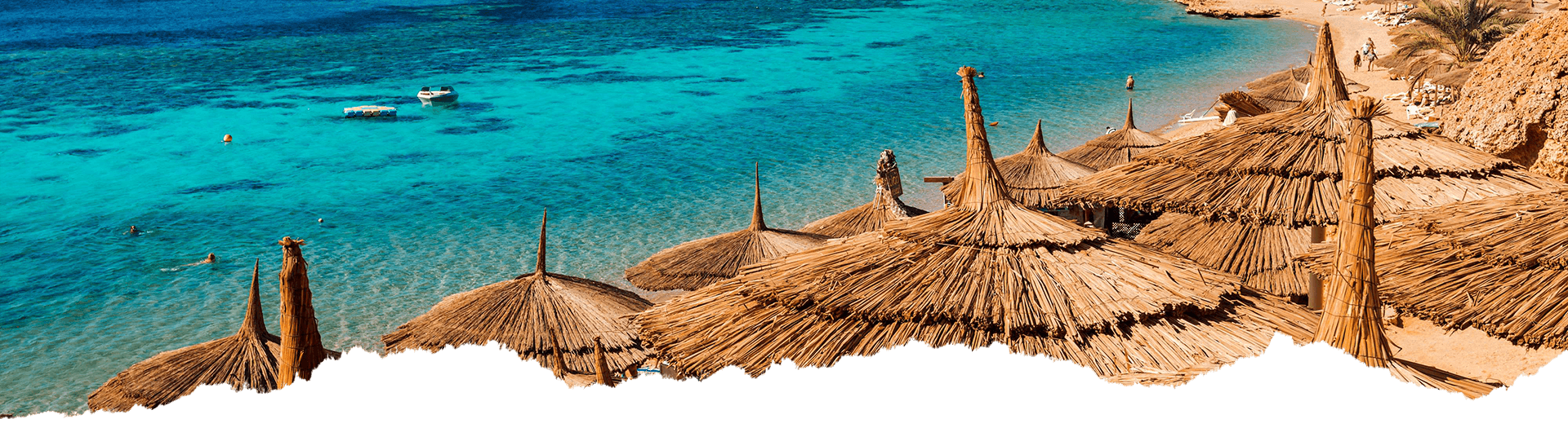Travelish Image