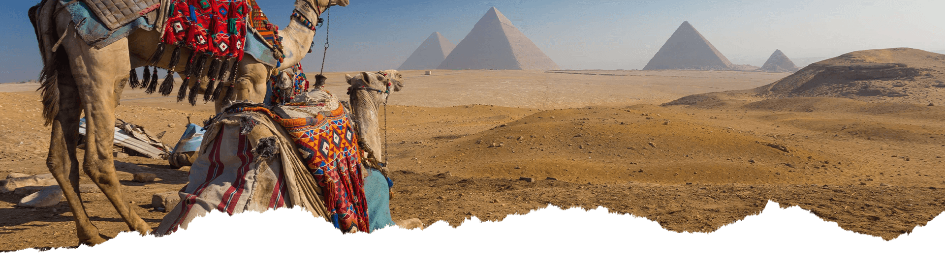 Travelish Image